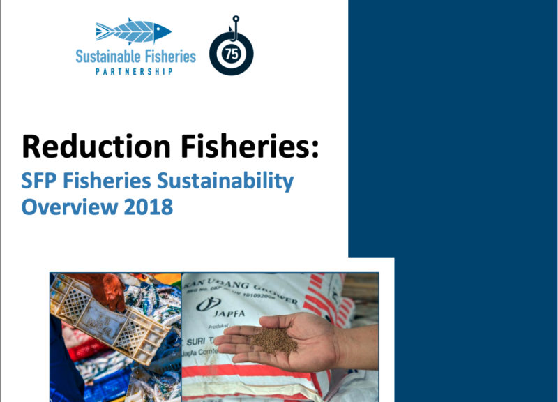 Perspectiva general de la sostenibilidad de la pesca en 2018